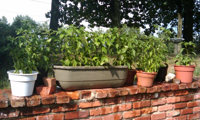 2010-07-25-171446